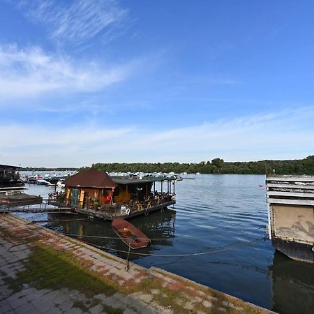 Hidden Gem Apartment เบลเกรด ภายนอก รูปภาพ